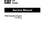 Caterpillar TB45 GAS Forklift Engine Service Manual